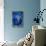 Seahorse on Blue-null-Stretched Canvas displayed on a wall