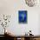 Seahorse on Blue-null-Stretched Canvas displayed on a wall