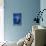 Seahorse on Blue-null-Stretched Canvas displayed on a wall