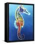 Seahorse - Rainbow-Dawgart-Framed Stretched Canvas