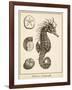 Seahorse Study I-Vision Studio-Framed Art Print