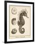 Seahorse Study I-Vision Studio-Framed Art Print