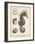 Seahorse Study I-Vision Studio-Framed Art Print