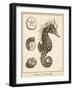 Seahorse Study I-Vision Studio-Framed Art Print