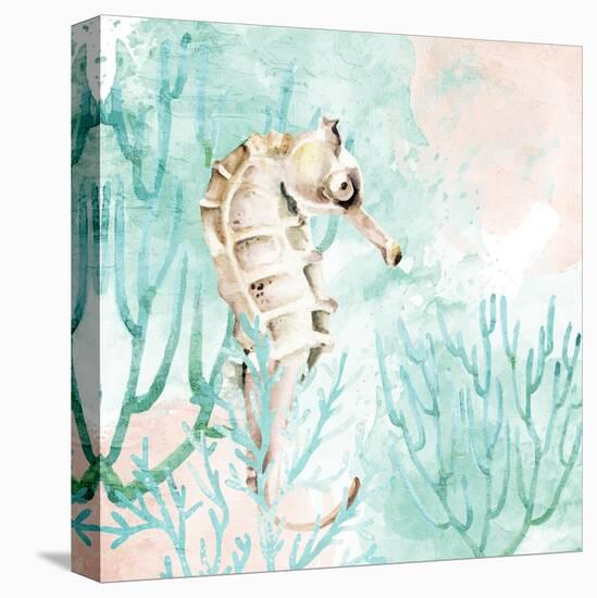 Seahorse Swim-Kimberly Allen-Stretched Canvas