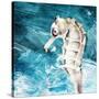 Seahorse Swimming-Kimberly Allen-Stretched Canvas