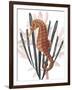 Seahorse Treasures II-Grace Popp-Framed Art Print