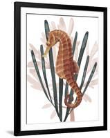 Seahorse Treasures II-Grace Popp-Framed Art Print