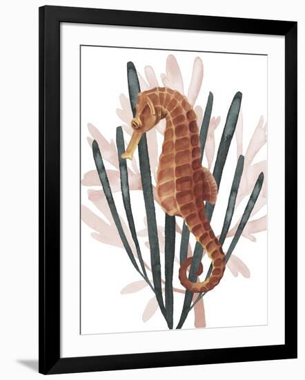 Seahorse Treasures II-Grace Popp-Framed Art Print