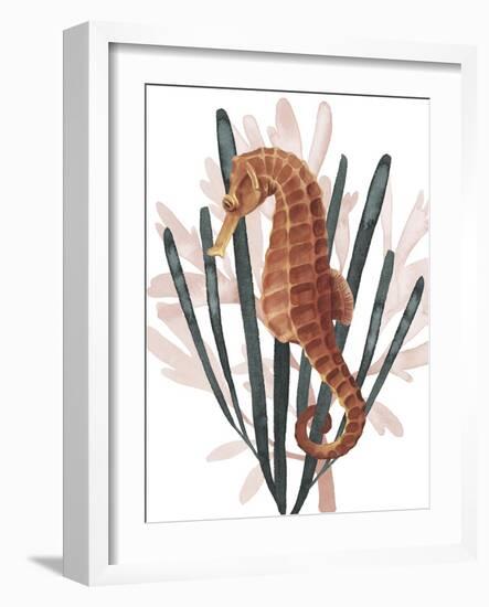 Seahorse Treasures II-Grace Popp-Framed Art Print