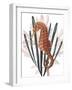 Seahorse Treasures II-Grace Popp-Framed Art Print