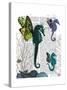 Seahorse Trio with Wings-Fab Funky-Stretched Canvas