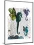 Seahorse Trio with Wings-Fab Funky-Mounted Art Print
