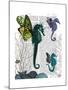 Seahorse Trio with Wings-Fab Funky-Mounted Art Print