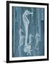 Seahorse Wood-Albert Koetsier-Framed Art Print