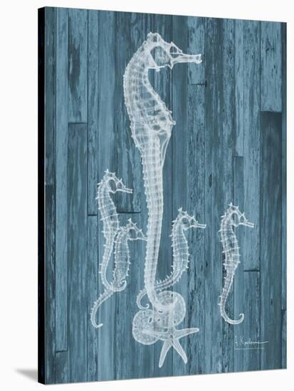 Seahorse Wood-Albert Koetsier-Stretched Canvas