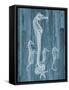 Seahorse Wood-Albert Koetsier-Framed Stretched Canvas