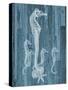 Seahorse Wood-Albert Koetsier-Stretched Canvas