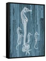 Seahorse Wood-Albert Koetsier-Framed Stretched Canvas