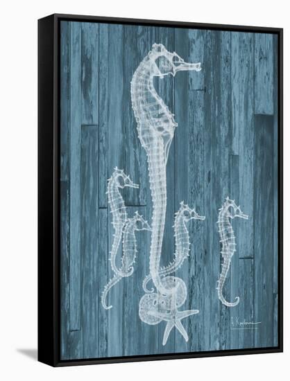 Seahorse Wood-Albert Koetsier-Framed Stretched Canvas