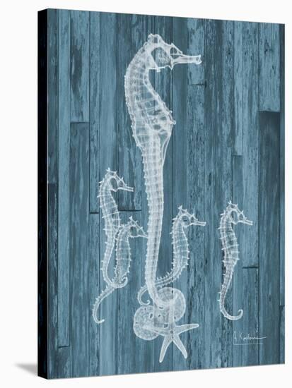 Seahorse Wood-Albert Koetsier-Stretched Canvas