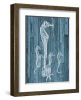 Seahorse Wood-Albert Koetsier-Framed Art Print