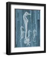 Seahorse Wood-Albert Koetsier-Framed Art Print