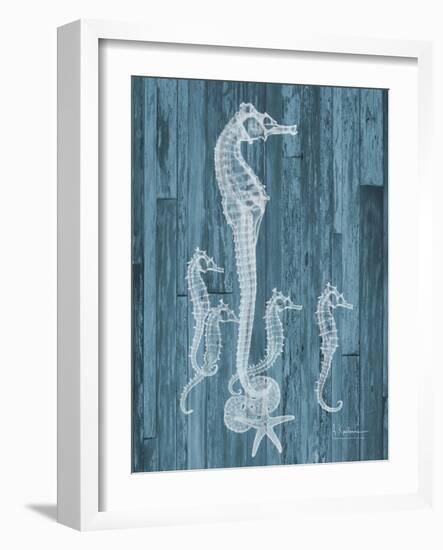 Seahorse Wood-Albert Koetsier-Framed Art Print