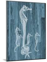 Seahorse Wood-Albert Koetsier-Mounted Art Print