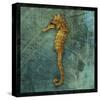 Seahorse-John Golden-Stretched Canvas