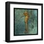 Seahorse-John W^ Golden-Framed Art Print