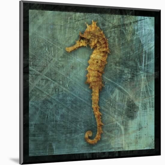 Seahorse-John W^ Golden-Mounted Art Print