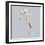 Seahorse-Justin Lloyd-Framed Giclee Print