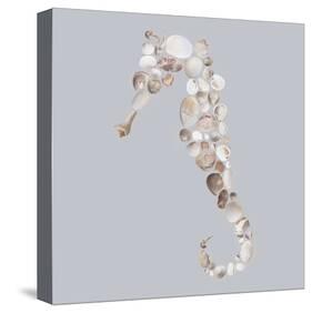 Seahorse-Justin Lloyd-Stretched Canvas
