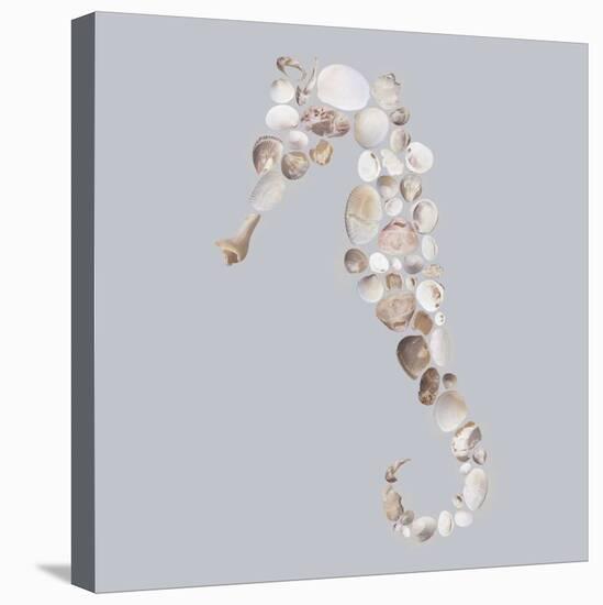 Seahorse-Justin Lloyd-Stretched Canvas