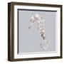 Seahorse-Justin Lloyd-Framed Art Print