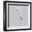 Seahorse-Justin Lloyd-Framed Art Print