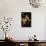Seahorse-null-Mounted Photographic Print displayed on a wall