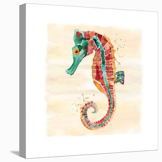 Seahorse-Sara Berrenson-Stretched Canvas