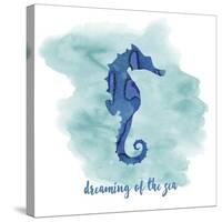 Seahorse-Erin Clark-Stretched Canvas