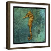 Seahorse-John W Golden-Framed Giclee Print