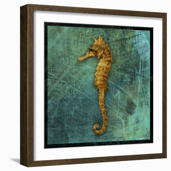 Seahorse-John W Golden-Framed Giclee Print