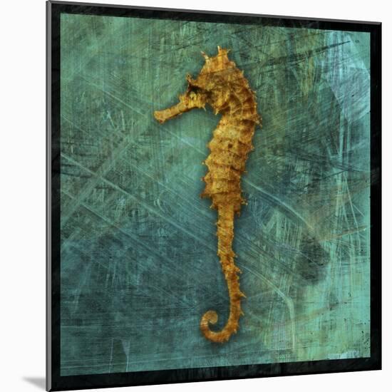 Seahorse-John W Golden-Mounted Giclee Print