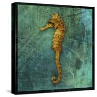 Seahorse-John W Golden-Stretched Canvas