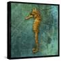 Seahorse-John W Golden-Stretched Canvas