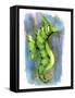 Seahorse-Ric Stultz-Framed Stretched Canvas