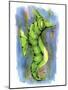 Seahorse-Ric Stultz-Mounted Giclee Print