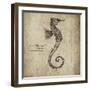 Seahorse-Sidney Paul & Co.-Framed Giclee Print