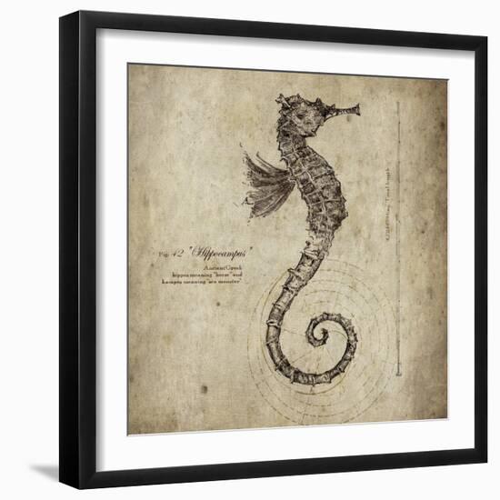 Seahorse-Sidney Paul & Co.-Framed Giclee Print