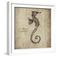 Seahorse-Sidney Paul & Co.-Framed Giclee Print